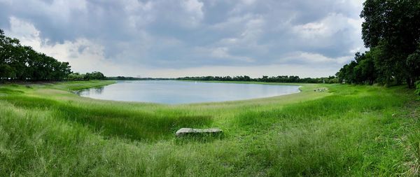 Scenic view of grassy field against sky