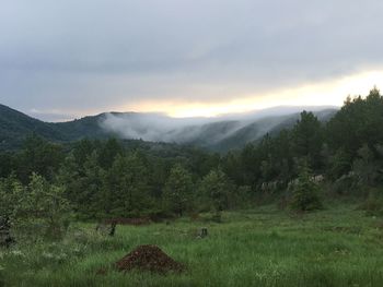 Scenic view of landscape against sky