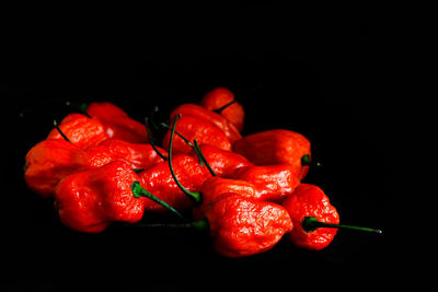 Close-up of cherries against black background