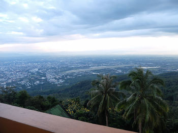Scenic view of palm trees on landscape against sky