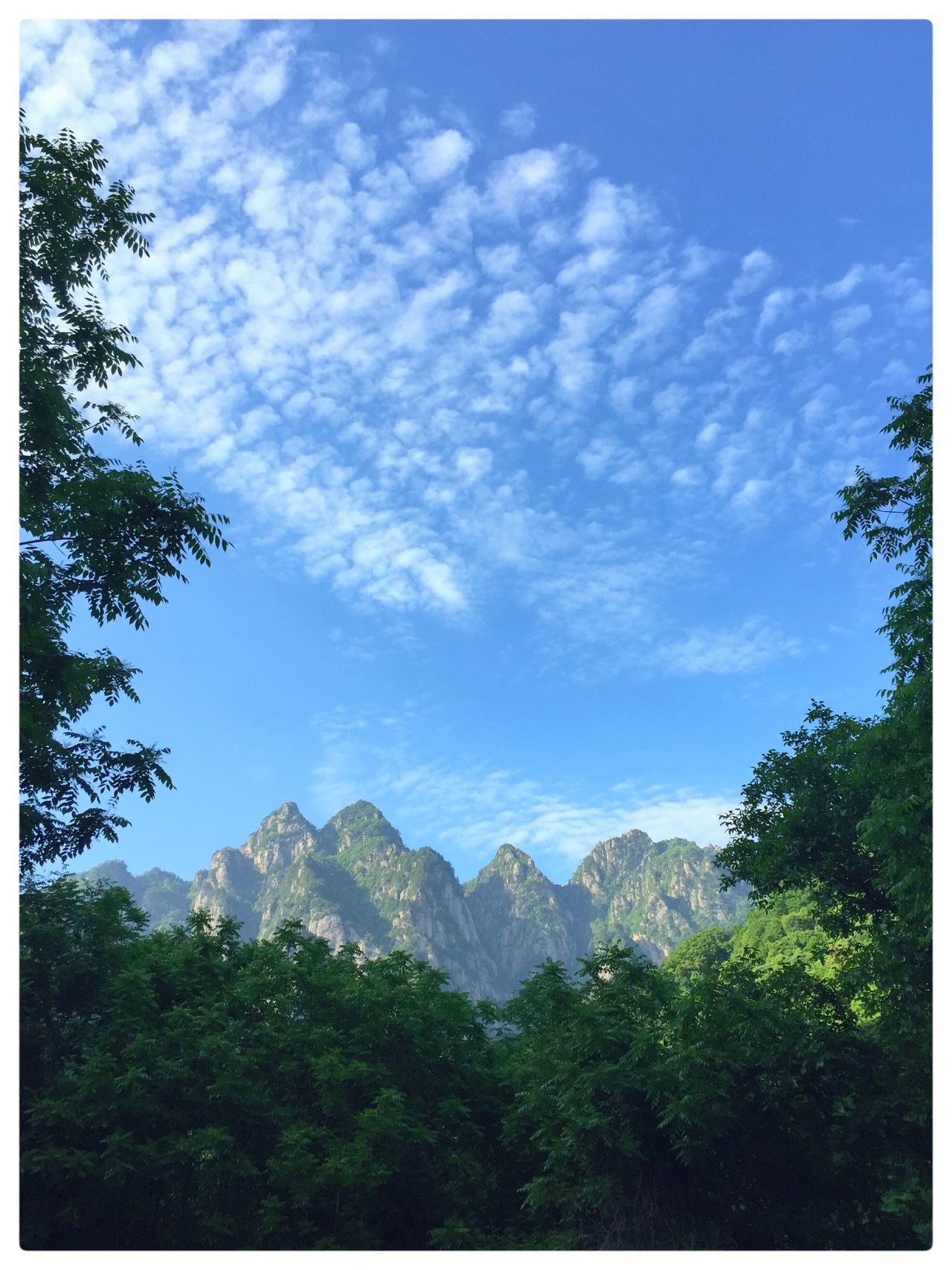 Qinling Mountains