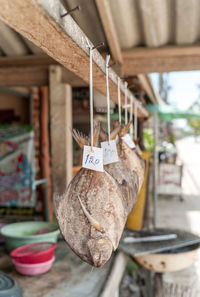 Close-up of clothes hanging