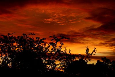 Low angle view of silhouette trees against dramatic sky