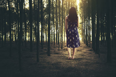 Rear view of woman standing by trees in forest