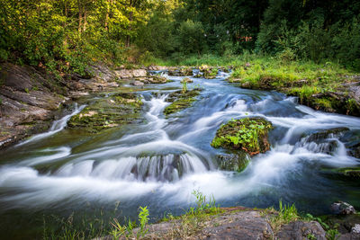 Stream flowing through rocks in forest