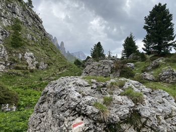 Rock formation amidst trees against sky