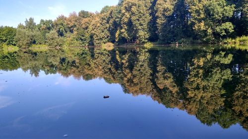 Reflection of trees in lake against sky