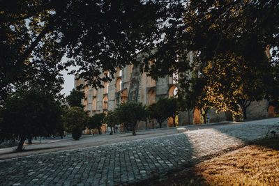 Street amidst trees and buildings in city