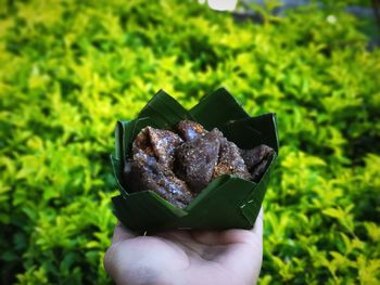 Cropped hand holding food in leaves bowl