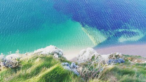 Scenic view of beach