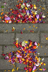 High angle view of autumn leaves on street