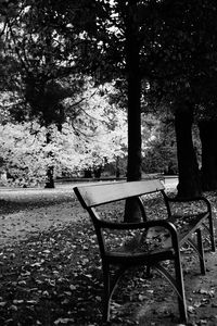 Bench in park