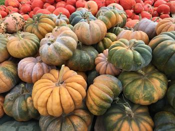 Full frame shot of pumpkins at market
