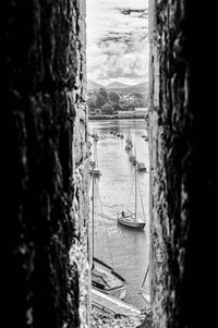 Boats in sea seen through tree trunks