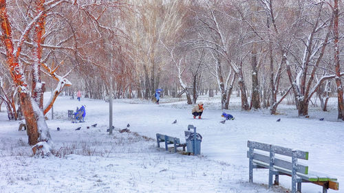 People on snowy field against bare trees