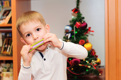 Portrait of boy with christmas tree at home