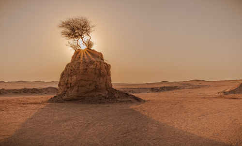 Scenic view of desert against sky during sunset