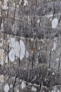 Full frame shot of rock