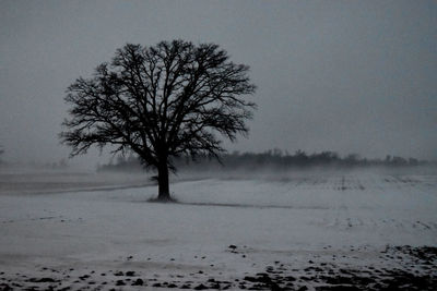 Bare tree on snow covered landscape against sky