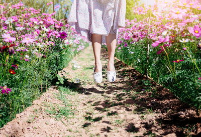 Low section of woman jumping amidst plants in garden