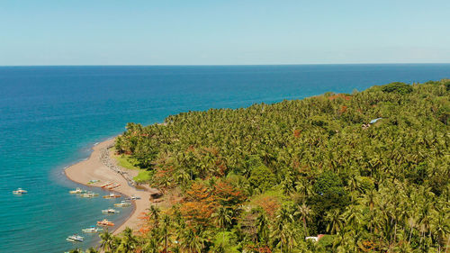 Coconut palms near the beach and the blue sea, above view. beach with fishing boats and palm trees