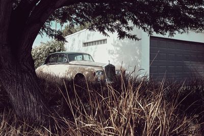 Abandoned car on field