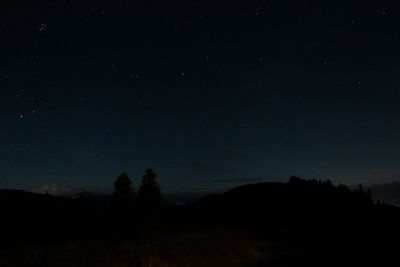 Silhouette trees against sky at night