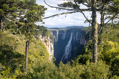 Scenic view of waterfall in forest against sky