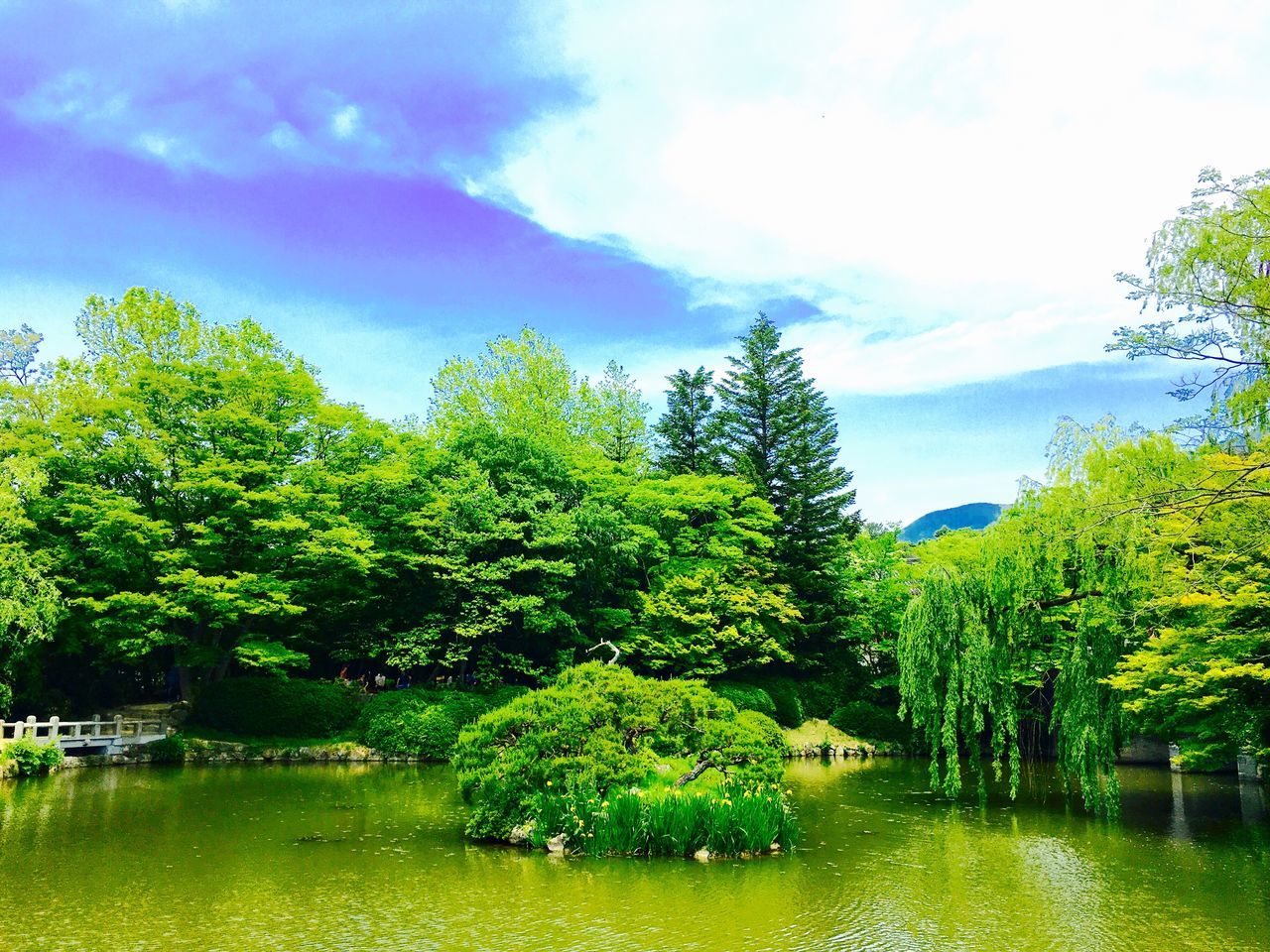 tree, water, sky, green color, tranquility, tranquil scene, growth, beauty in nature, nature, scenics, waterfront, lake, river, cloud - sky, lush foliage, cloud, green, day, idyllic, outdoors