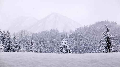 Snow covered landscape and mountains against sky