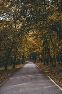 Road amidst trees during autumn