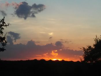 Low angle view of silhouette trees against sky during sunset