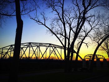 Silhouette trees at sunset