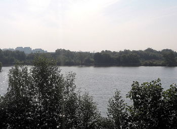 Scenic view of lake in forest against clear sky