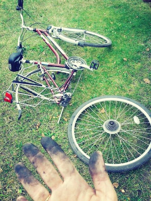 bicycle, grass, transportation, land vehicle, low section, mode of transport, leisure activity, high angle view, field, lifestyles, part of, men, person, wheel, grassy, day, outdoors