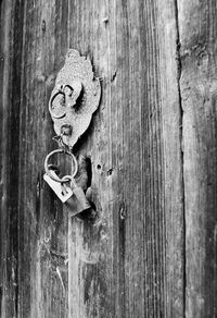 Close-up of wooden plank