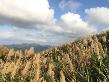 Panoramic view of landscape against sky