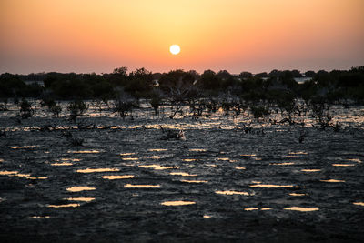 Scenic view of landscape against orange sky