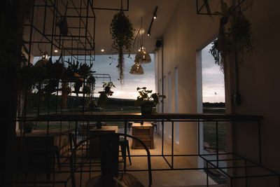 Potted plants hanging in room against sky