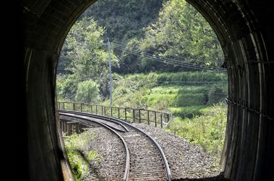 Railroad tracks amidst trees in forest