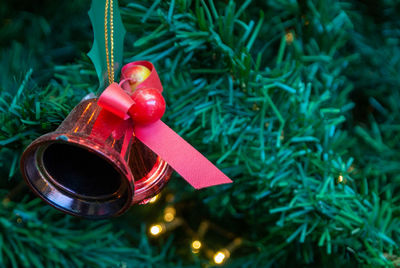 Close-up of christmas decoration on tree