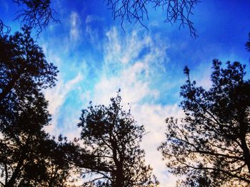 Low angle view of trees against cloudy sky