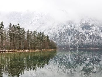 Reflection of trees in lake against sky