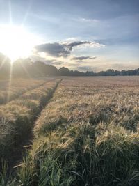 Scenic view of field against sky during sunset