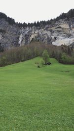 Scenic view of field against clear sky