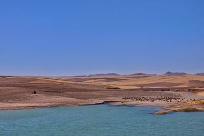 Scenic view of desert against clear blue sky