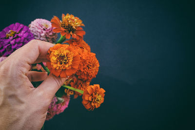 Close-up of hand holding flower