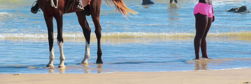 Low section of woman on beach