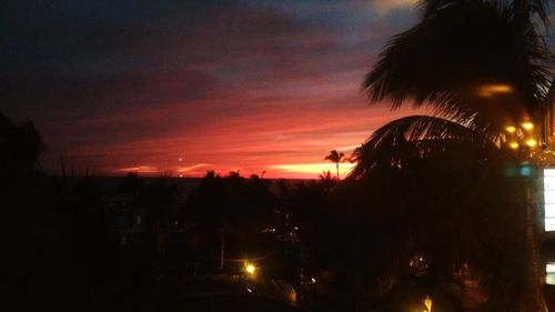 Silhouette of trees at sunset