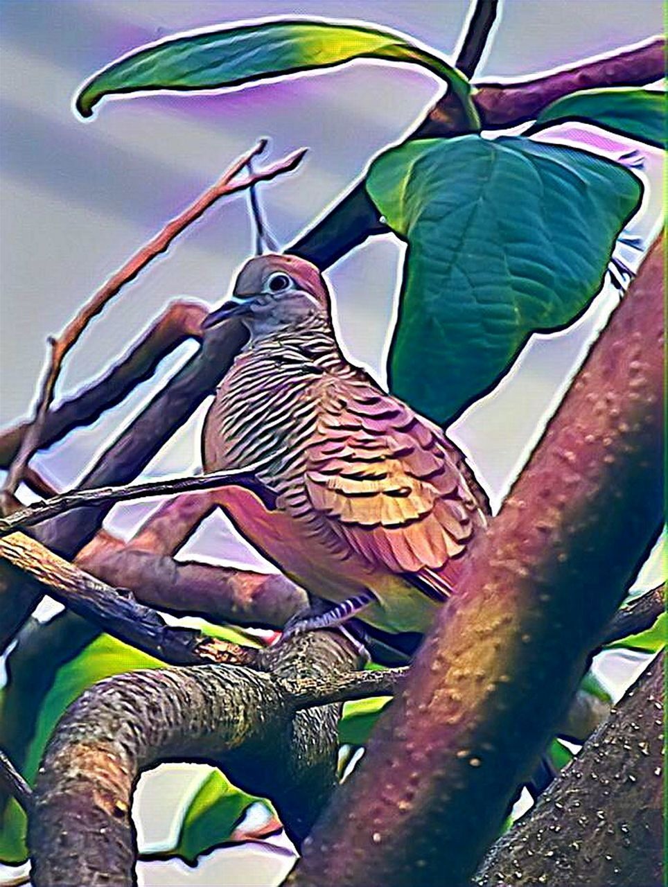 BIRD PERCHING ON BRANCH